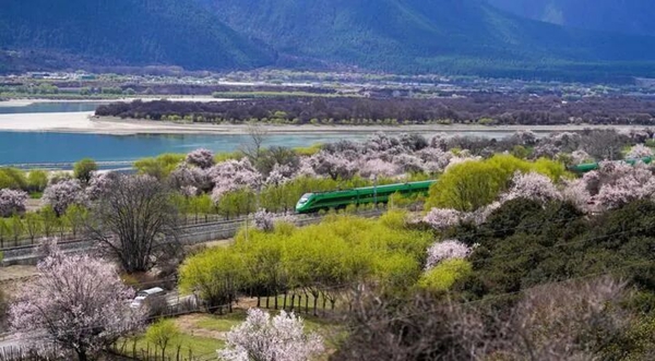 日本精品人妻无码免费大全