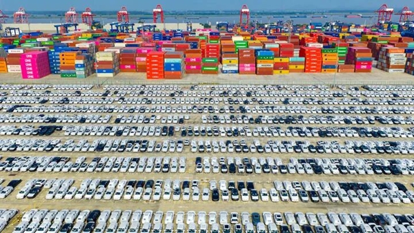 日本精品人妻无码免费大全